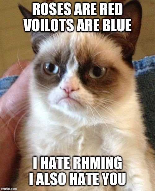 Grumpy Cat | ROSES ARE RED VOILOTS ARE BLUE; I HATE RHMING I ALSO HATE YOU | image tagged in memes,grumpy cat | made w/ Imgflip meme maker