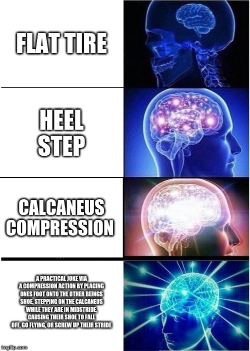 Expanding Brain | FLAT TIRE; HEEL STEP; CALCANEUS COMPRESSION; A PRACTICAL JOKE VIA A COMPRESSION ACTION BY PLACING ONES FOOT ONTO THE OTHER BEINGS SHOE, STEPPING ON THE CALCANEUS WHILE THEY ARE IN MIDSTRIDE, CAUSING THEIR SHOE TO FALL OFF, GO FLYING, OR SCREW UP THEIR STRIDE | image tagged in memes,expanding brain | made w/ Imgflip meme maker
