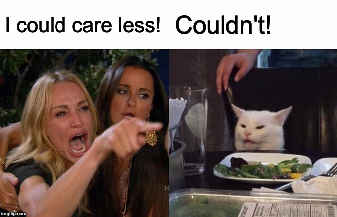 Woman Yelling At Cat | I could care less! Couldn't! | image tagged in memes,woman yelling at cat | made w/ Imgflip meme maker