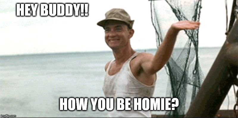 Forest Gump waving | HEY BUDDY!! HOW YOU BE HOMIE? | image tagged in forest gump waving | made w/ Imgflip meme maker