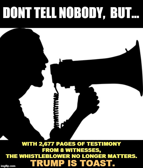 WITH 2,677 PAGES OF TESTIMONY 
FROM 8 WITNESSES, 
THE WHISTLEBLOWER NO LONGER MATTERS. TRUMP IS TOAST. | image tagged in trump,whistleblower,guilty,traitor,election 2020,patriotism | made w/ Imgflip meme maker