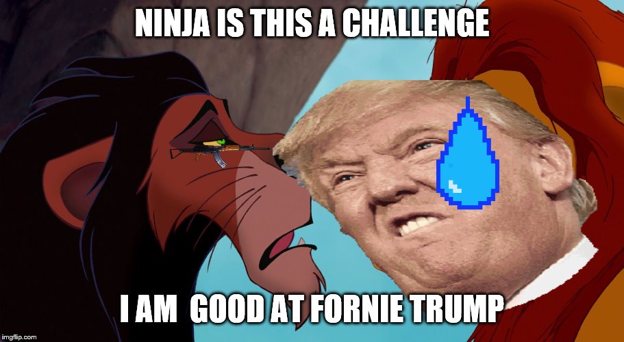 NINJA IS THIS A CHALLENGE; I AM  GOOD AT FORNIE TRUMP | image tagged in racism | made w/ Imgflip meme maker
