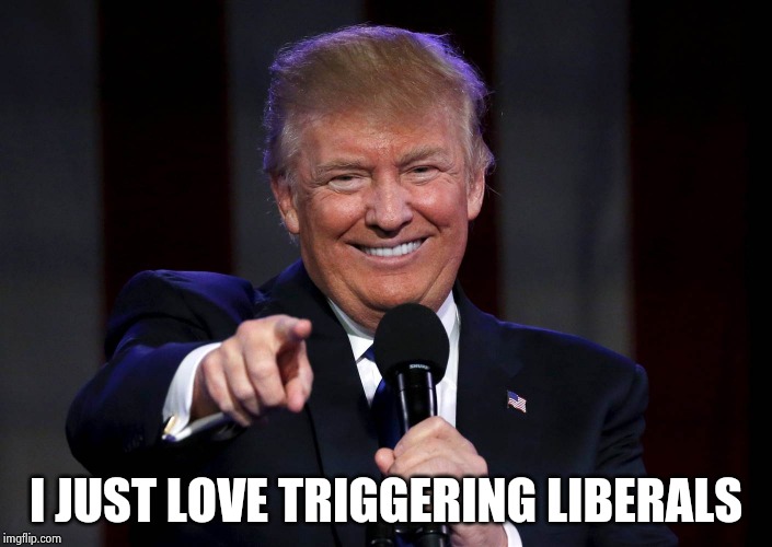 Trump laughing at haters | I JUST LOVE TRIGGERING LIBERALS | image tagged in trump laughing at haters | made w/ Imgflip meme maker