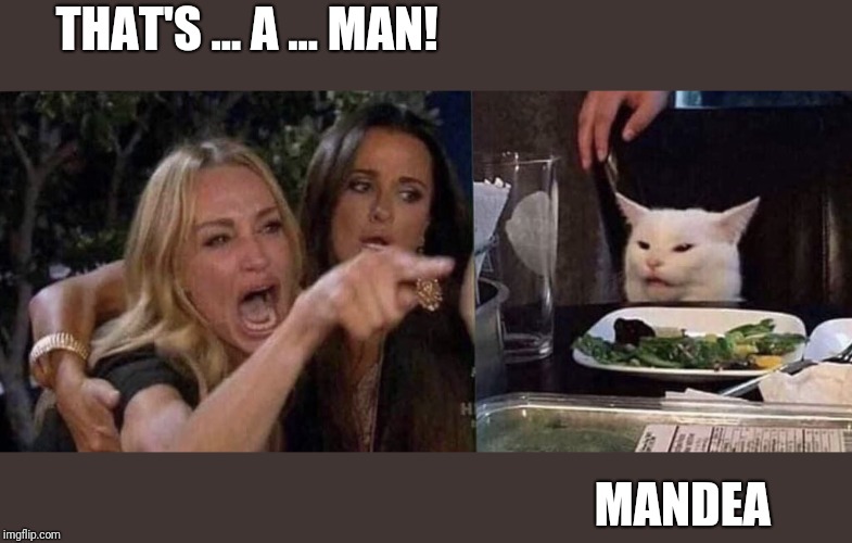 woman yelling at cat | THAT'S ... A ... MAN! MANDEA | image tagged in woman yelling at cat | made w/ Imgflip meme maker