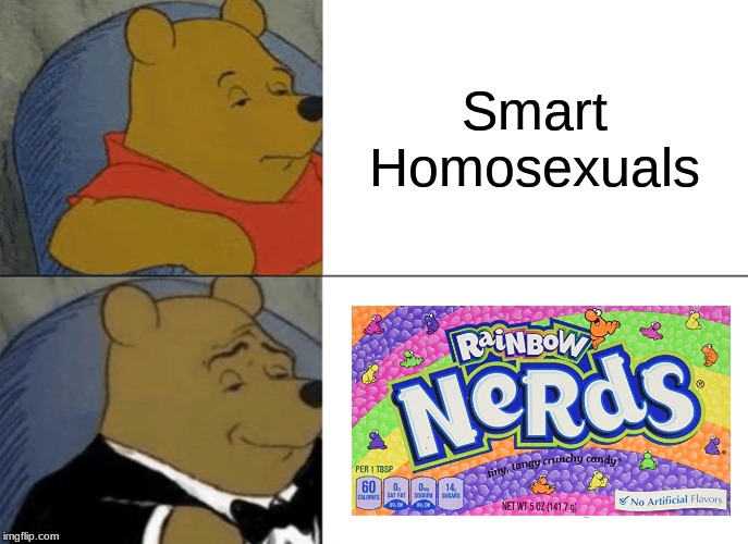 Tuxedo Winnie The Pooh | Smart Homosexuals | image tagged in memes,tuxedo winnie the pooh | made w/ Imgflip meme maker
