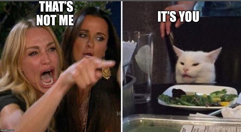 Screaming woman/cat | THAT’S NOT ME; IT’S YOU | image tagged in screaming woman/cat | made w/ Imgflip meme maker