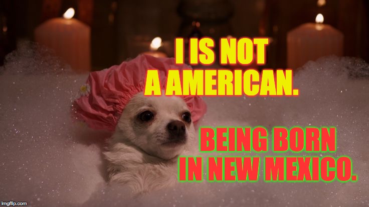 Illegals open up about their experiences. | I IS NOT A AMERICAN. BEING BORN IN NEW MEXICO. | image tagged in chihuahua bubble bath,memes,illegals,before the great colorado wall,geographer trump | made w/ Imgflip meme maker