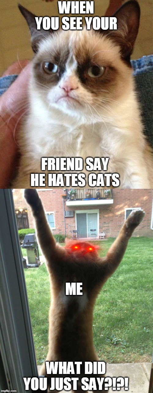 WHEN YOU SEE YOUR; FRIEND SAY HE HATES CATS; ME; WHAT DID YOU JUST SAY?!?! | image tagged in memes,grumpy cat,attack cat | made w/ Imgflip meme maker