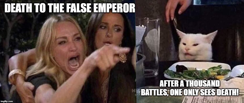 woman yelling at cat | DEATH TO THE FALSE EMPEROR; AFTER A THOUSAND BATTLES, ONE ONLY SEES DEATH! | image tagged in woman yelling at cat | made w/ Imgflip meme maker