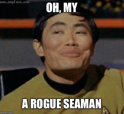 sulu | OH, MY A ROGUE SEAMAN | image tagged in sulu | made w/ Imgflip meme maker
