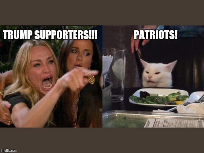 Woman yelling at cat | PATRIOTS! TRUMP SUPPORTERS!!! | image tagged in woman yelling at cat | made w/ Imgflip meme maker