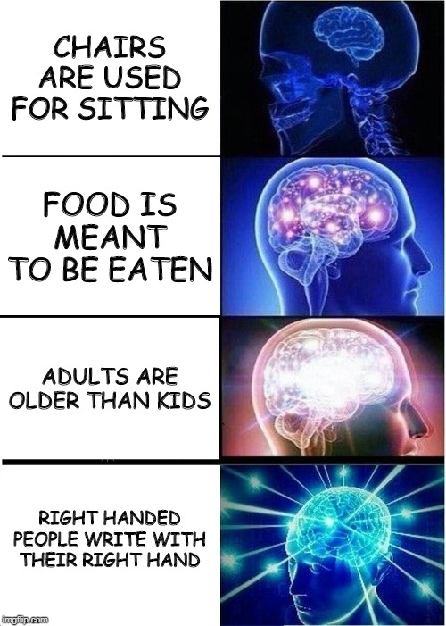 Expanding Brain Meme | CHAIRS ARE USED FOR SITTING; FOOD IS MEANT TO BE EATEN; ADULTS ARE OLDER THAN KIDS; RIGHT HANDED PEOPLE WRITE WITH THEIR RIGHT HAND | image tagged in memes,expanding brain | made w/ Imgflip meme maker