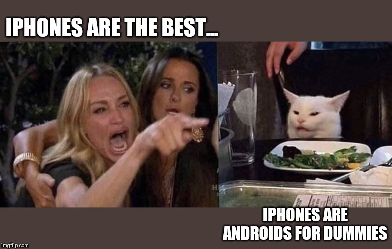 woman yelling at cat | IPHONES ARE THE BEST... IPHONES ARE ANDROIDS FOR DUMMIES | image tagged in woman yelling at cat | made w/ Imgflip meme maker