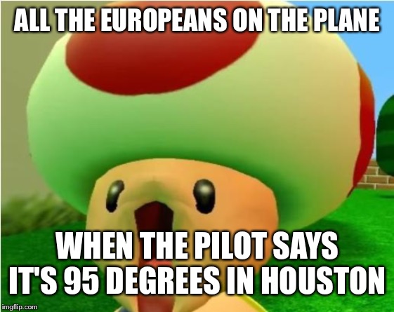 excited toad | ALL THE EUROPEANS ON THE PLANE; WHEN THE PILOT SAYS IT'S 95 DEGREES IN HOUSTON | image tagged in excited toad | made w/ Imgflip meme maker