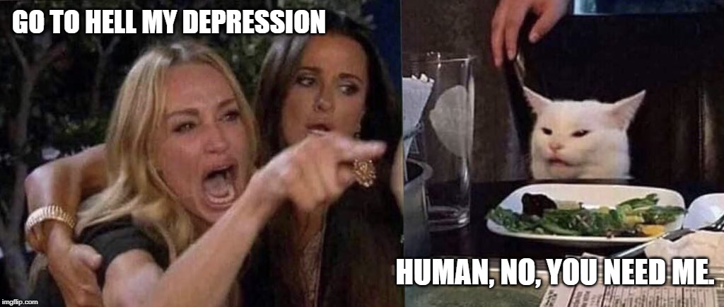 woman yelling at cat | GO TO HELL MY DEPRESSION; HUMAN, NO, YOU NEED ME. | image tagged in woman yelling at cat | made w/ Imgflip meme maker