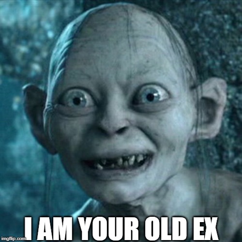 Gollum Meme | I AM YOUR OLD EX | image tagged in memes,gollum | made w/ Imgflip meme maker
