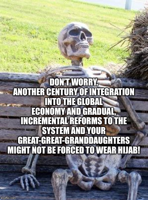 Waiting Skeleton | DON’T WORRY. ANOTHER CENTURY OF INTEGRATION INTO THE GLOBAL ECONOMY AND GRADUAL, INCREMENTAL REFORMS TO THE SYSTEM AND YOUR GREAT-GREAT-GRANDDAUGHTERS MIGHT NOT BE FORCED TO WEAR HIJAB! | image tagged in memes,waiting skeleton | made w/ Imgflip meme maker