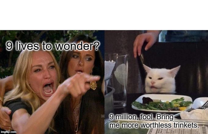 Woman Yelling At Cat Meme | 9 lives to wonder? 9 million, fool. Bring me more worthless trinkets. | image tagged in memes,woman yelling at cat | made w/ Imgflip meme maker