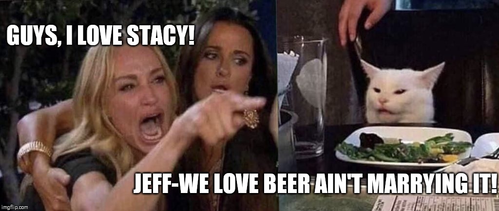 woman yelling at cat | GUYS, I LOVE STACY! JEFF-WE LOVE BEER AIN'T MARRYING IT! | image tagged in woman yelling at cat | made w/ Imgflip meme maker