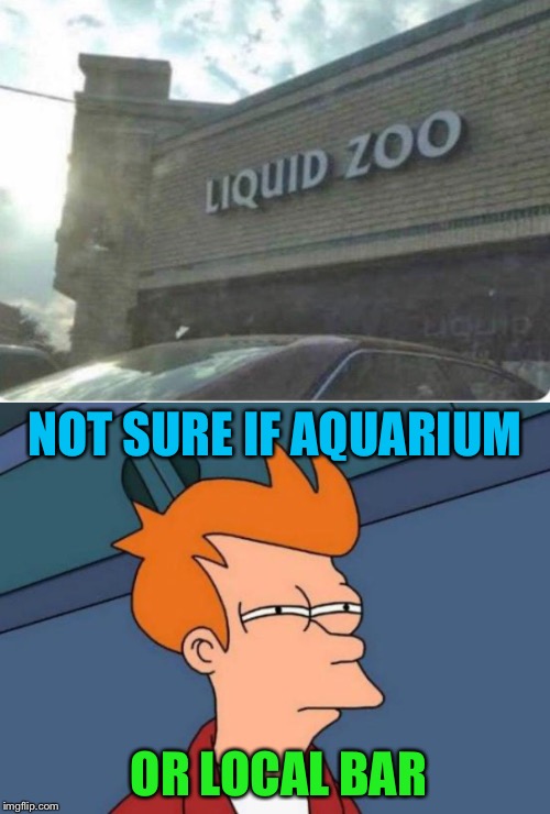 Sounds fishy... | NOT SURE IF AQUARIUM; OR LOCAL BAR | image tagged in memes,futurama fry,liquid,zoo,funny signs | made w/ Imgflip meme maker