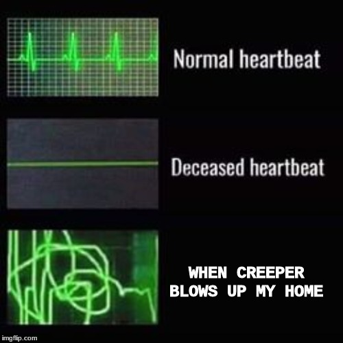 heartbeat rate | WHEN CREEPER BLOWS UP MY HOME | image tagged in heartbeat rate | made w/ Imgflip meme maker