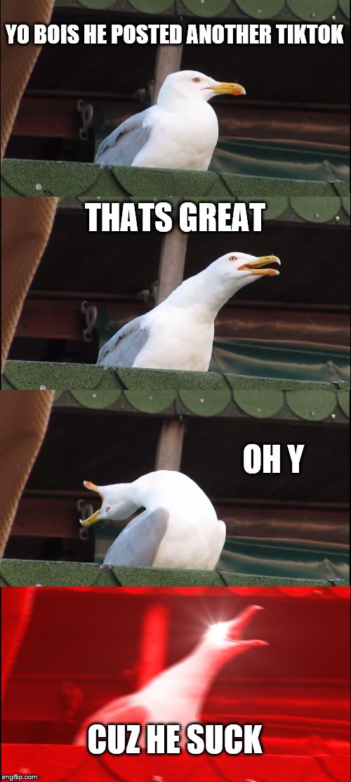 Inhaling Seagull Meme | YO BOIS HE POSTED ANOTHER TIKTOK; THATS GREAT; OH Y; CUZ HE SUCK | image tagged in memes,inhaling seagull | made w/ Imgflip meme maker