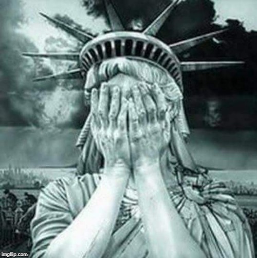 The Statue Of Liberty Weeps | image tagged in the statue of liberty weeps | made w/ Imgflip meme maker