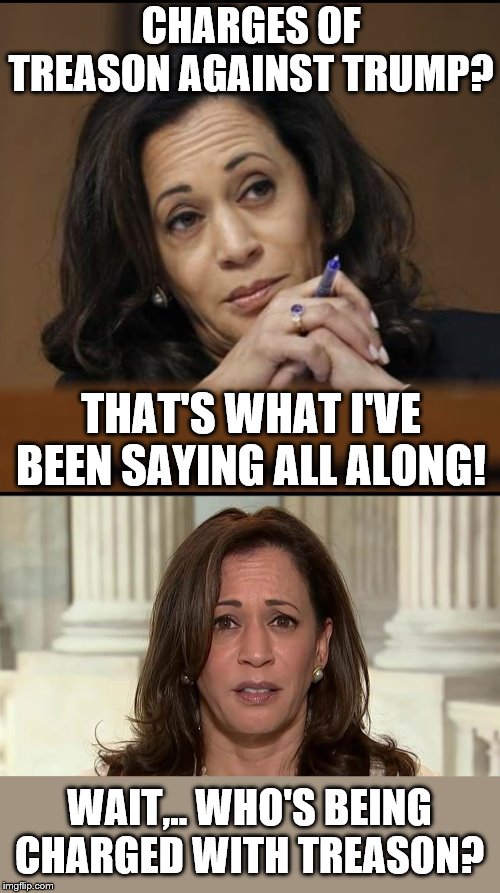 CHARGES OF TREASON AGAINST TRUMP? THAT'S WHAT I'VE BEEN SAYING ALL ALONG! WAIT,.. WHO'S BEING CHARGED WITH TREASON? | image tagged in kamala harris | made w/ Imgflip meme maker
