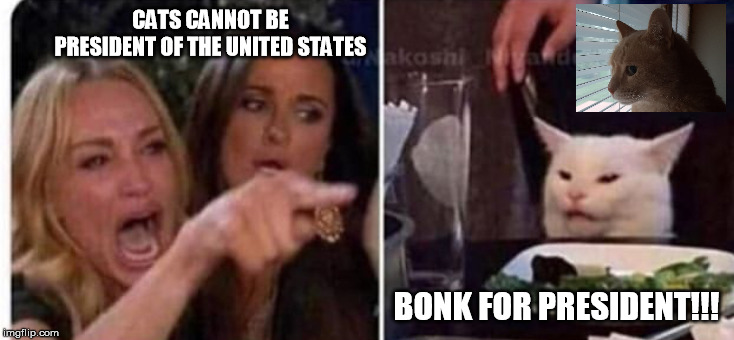 Cat at table | CATS CANNOT BE PRESIDENT OF THE UNITED STATES; BONK FOR PRESIDENT!!! | image tagged in cat at table | made w/ Imgflip meme maker
