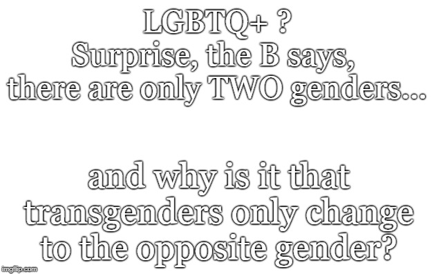 Surprise, surprise, surprise! Originally posted by Gomer Pyle. | LGBTQ+ ?
Surprise, the B says, 
there are only TWO genders... and why is it that transgenders only change to the opposite gender? | image tagged in blank jpg | made w/ Imgflip meme maker