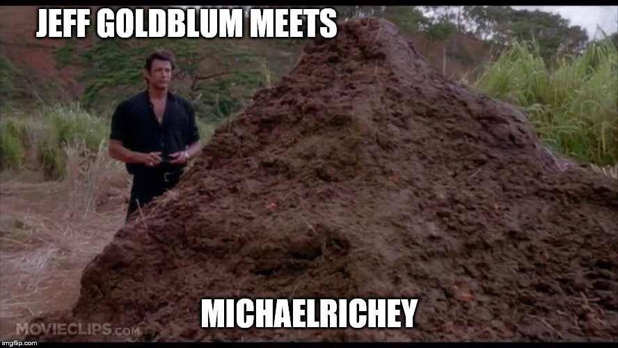 That is one big pile of shit | JEFF GOLDBLUM MEETS MICHAELRICHEY | image tagged in that is one big pile of shit | made w/ Imgflip meme maker