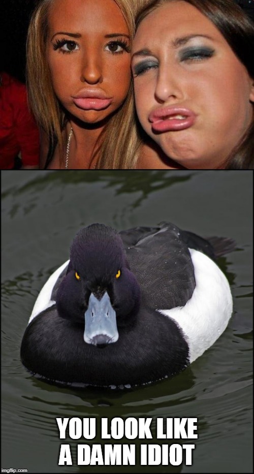 DUCK LIPS | YOU LOOK LIKE A DAMN IDIOT | image tagged in angry duck,memes,duck face chicks | made w/ Imgflip meme maker