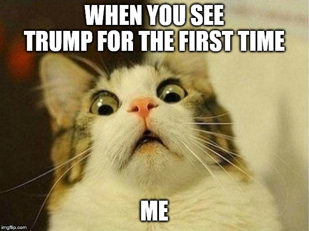 Scared Cat Meme | WHEN YOU SEE TRUMP FOR THE FIRST TIME; ME | image tagged in memes,scared cat | made w/ Imgflip meme maker