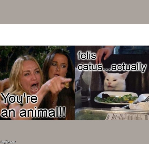 Woman Yelling At Cat | felis catus...actually; You're an animal!! | image tagged in memes,woman yelling at cat | made w/ Imgflip meme maker