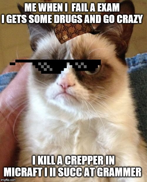 Grumpy Cat Meme | ME WHEN I  FAIL A EXAM I GETS SOME DRUGS AND GO CRAZY; I KILL A CREPPER IN MICRAFT I II SUCC AT GRAMMER | image tagged in memes,grumpy cat | made w/ Imgflip meme maker