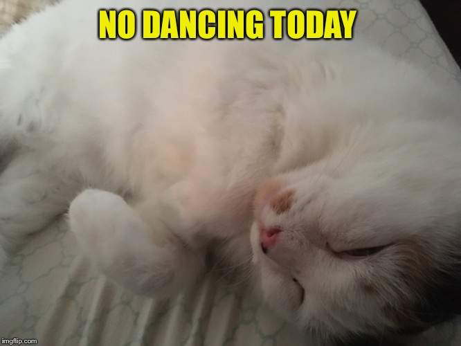 NO DANCING TODAY | made w/ Imgflip meme maker