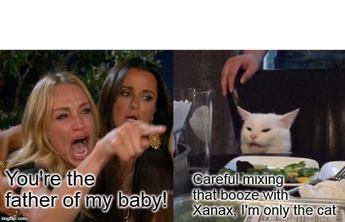 Woman Yelling At Cat | You're the father of my baby! Careful mixing that booze with Xanax, I'm only the cat | image tagged in memes,woman yelling at cat | made w/ Imgflip meme maker
