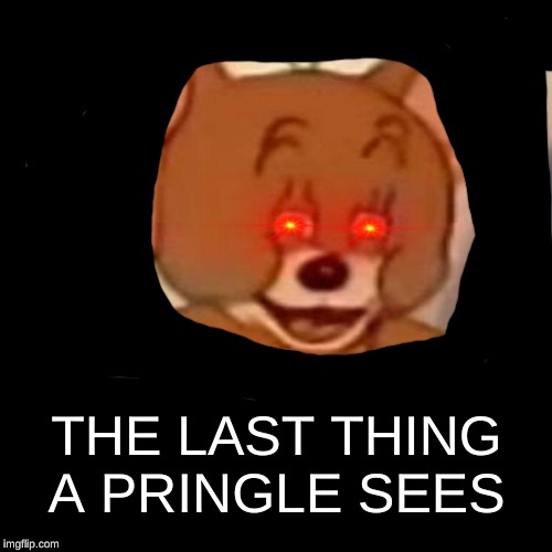that'd be scary |  THE LAST THING A PRINGLE SEES | image tagged in polish jerry | made w/ Imgflip meme maker