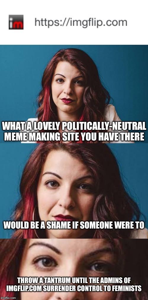 I Count the days....... | WHAT A LOVELY POLITICALLY-NEUTRAL MEME MAKING SITE YOU HAVE THERE; WOULD BE A SHAME IF SOMEONE WERE TO; THROW A TANTRUM UNTIL THE ADMINS OF IMGFLIP.COM SURRENDER CONTROL TO FEMINISTS | image tagged in anita sarkeesian | made w/ Imgflip meme maker