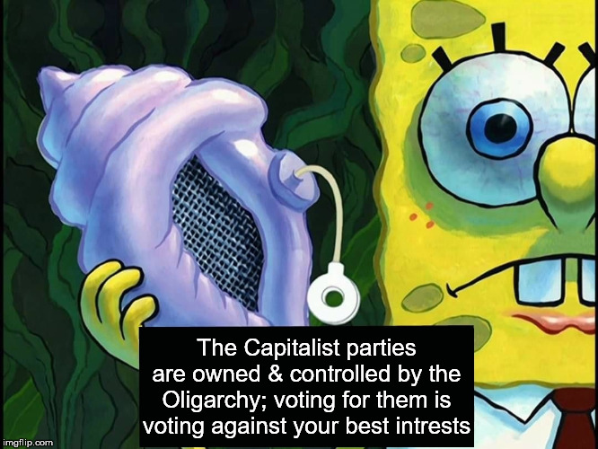 Sponge Bob square pants | The Capitalist parties are owned & controlled by the Oligarchy; voting for them is voting against your best intrests | image tagged in sponge bob square pants | made w/ Imgflip meme maker