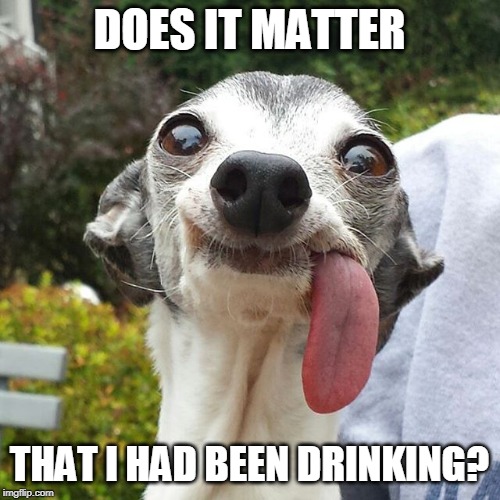 Dog tongue | DOES IT MATTER THAT I HAD BEEN DRINKING? | image tagged in dog tongue | made w/ Imgflip meme maker