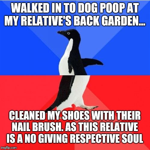 Socially Awkward Awesome Penguin Meme | WALKED IN TO DOG POOP AT MY RELATIVE'S BACK GARDEN... CLEANED MY SHOES WITH THEIR NAIL BRUSH. AS THIS RELATIVE IS A NO GIVING RESPECTIVE SOUL | image tagged in memes,socially awkward awesome penguin | made w/ Imgflip meme maker