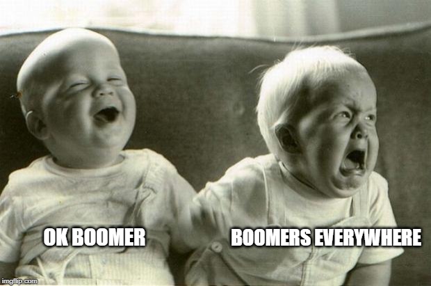 HappySadBabies | BOOMERS EVERYWHERE; OK BOOMER | image tagged in happysadbabies | made w/ Imgflip meme maker