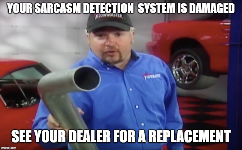 When the sarcasm goes over their heads | YOUR SARCASM DETECTION  SYSTEM IS DAMAGED; SEE YOUR DEALER FOR A REPLACEMENT | image tagged in funny,funny memes,guy fieri | made w/ Imgflip meme maker