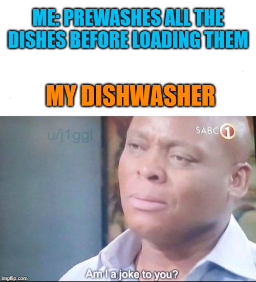nothing like a good hand washer | ME: PREWASHES ALL THE DISHES BEFORE LOADING THEM; MY DISHWASHER | image tagged in am i a joke to you,dishwasher | made w/ Imgflip meme maker