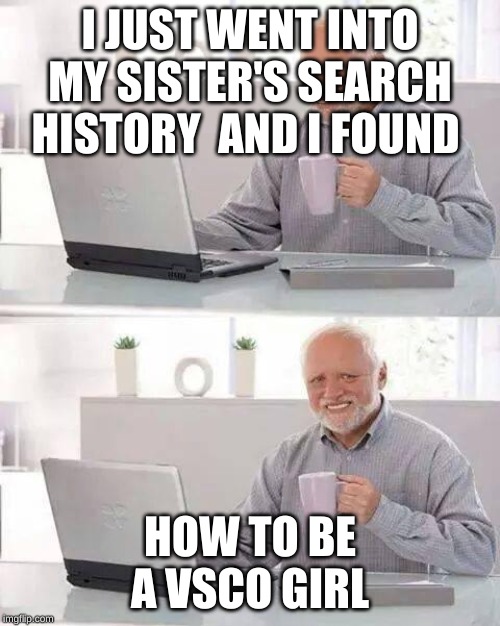 Hide the Pain Harold Meme | I JUST WENT INTO MY SISTER'S SEARCH HISTORY  AND I FOUND; HOW TO BE A VSCO GIRL | image tagged in memes,hide the pain harold | made w/ Imgflip meme maker