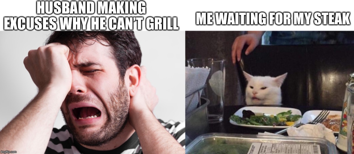 Go grill | HUSBAND MAKING EXCUSES WHY HE CAN’T GRILL; ME WAITING FOR MY STEAK | image tagged in bbq,grilling,cats,wuss | made w/ Imgflip meme maker