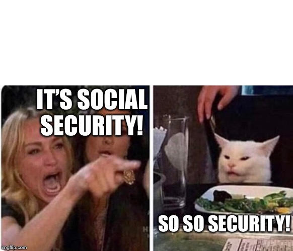 lady yelling at cat | IT’S SOCIAL SECURITY! SO SO SECURITY! | image tagged in lady yelling at cat | made w/ Imgflip meme maker