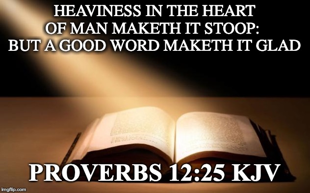 Bible | HEAVINESS IN THE HEART OF MAN MAKETH IT STOOP:  BUT A GOOD WORD MAKETH IT GLAD; PROVERBS 12:25 KJV | image tagged in bible | made w/ Imgflip meme maker