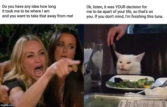 Woman Yelling At Cat Meme | Do you have any idea how long it took me to be where I am and you want to take that away from me! Ok, listen, it was YOUR decision for me to be apart of your life, so that's on you. If you don't mind, I'm finishing this tuna. | image tagged in memes,woman yelling at cat | made w/ Imgflip meme maker